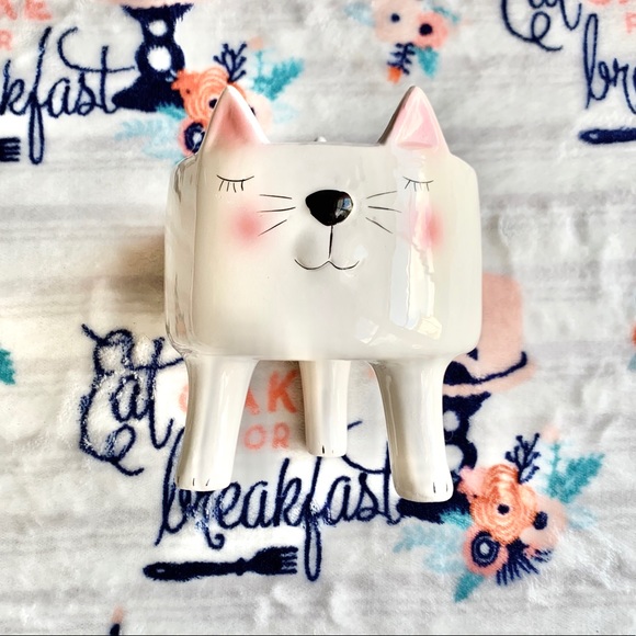 Other - 🐈 Cute Kitty Succulent Planter 🐈